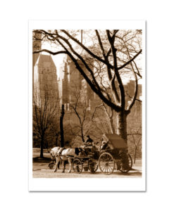Carriage Ride in Central Park Sepia MP1005 New York City Art Print from NY Poster