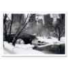 Love Bridge in Central Park Black and White MP1006 New York City Art Print from NY Poster