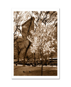 Flatiron Spring Sepia MP1017 New York City Art Print from NY Poster