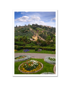 View up the Hill from Piazza Michelangelo Florence Italy MP2506 Art Print from NY Poster